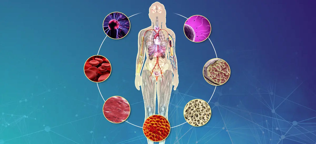 Kesha & Dhatu : The Ayurvedic Blueprint for Radiant Hair